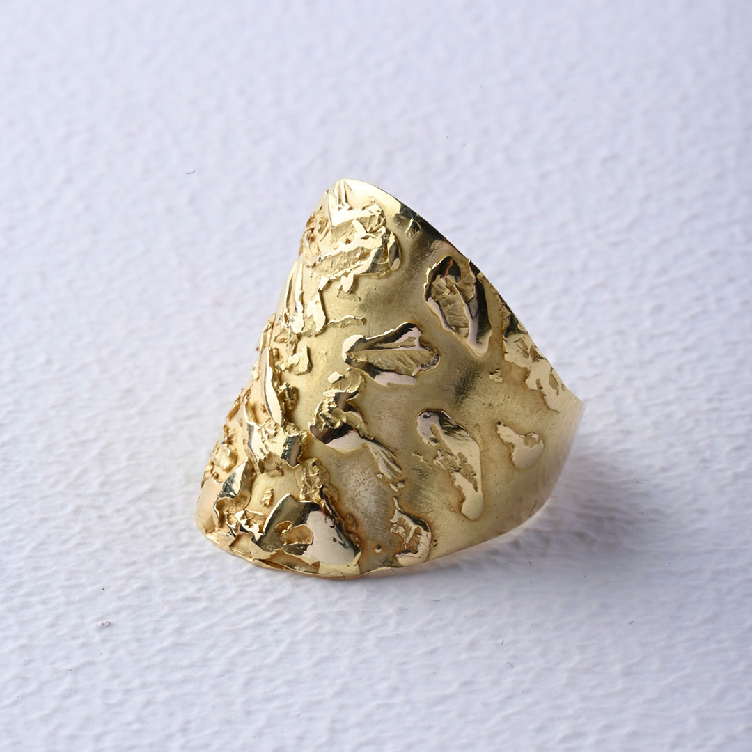 Foto van de 'The Zebra' ring