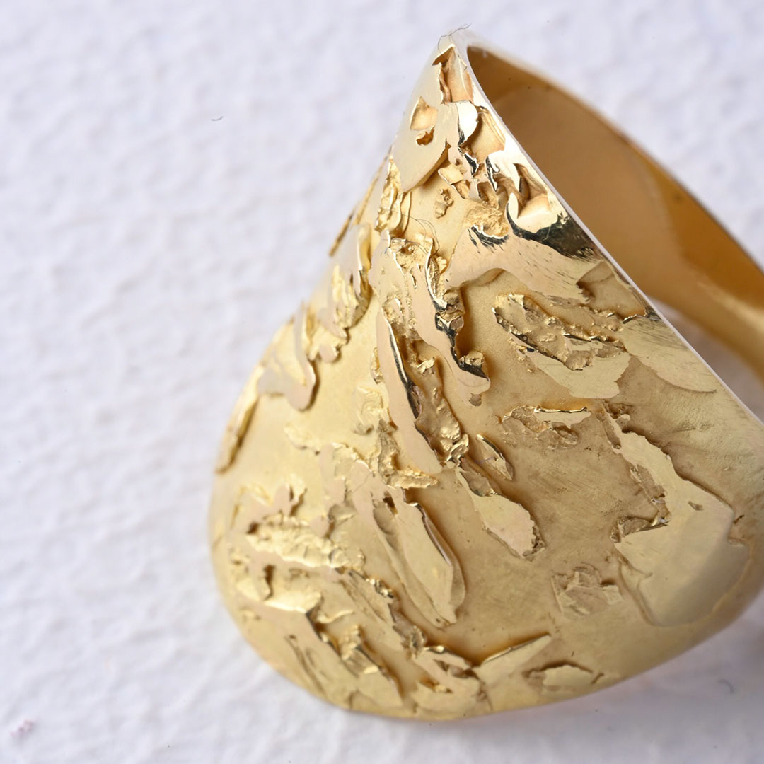 Foto van de 'The Zebra' ring